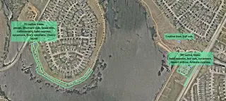 Map showing native tree planting locations around Lake Pflugerville
